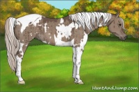 Horse Color:White Spotted Silver Grullo Tobiano Brindle