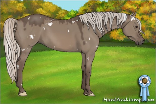 Horse Color:White Spotted Silver Grullo 