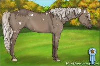 Horse Color:White Spotted Silver Grullo 