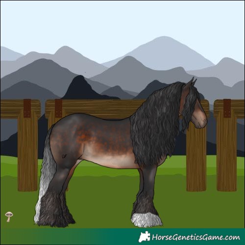 Horse Color:Brown Mushroom 
