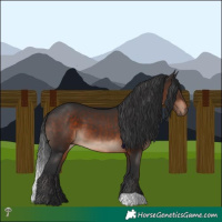 Horse Color:Brown Mushroom 
