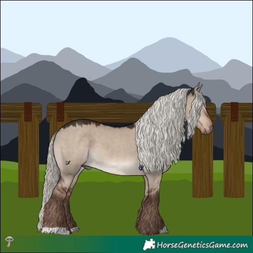 Horse Color:Liver Red Dun Mushroom 