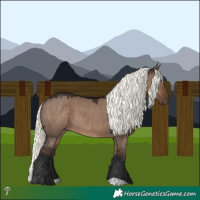 Horse Color:Liver Red Dun Mushroom 