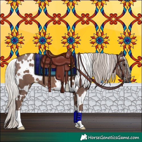 Horse Color:White Spotted Silver Black 
