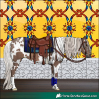 Horse Color:White Spotted Silver Black 