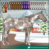 Horse Color:White Spotted Silver Black Ice Rabicano 