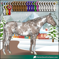 Horse Color:White Spotted Silver Black Ice Rabicano