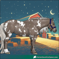 Horse Color:White Spotted Silver Black Rabicano 