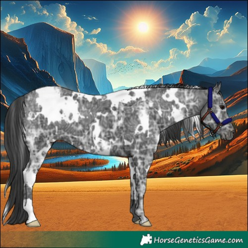 Horse Color:White Spotted Black Ice