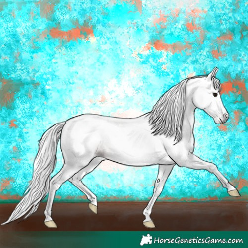 Horse Color:Gray Brown Rabicano 