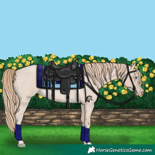 Horse Color:Smoky Creme Roan 