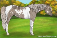 Horse Color:White Spotted Silver Grullo Tobiano Brindle