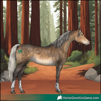 Horse Color:Silver Buckskin Tobiano 