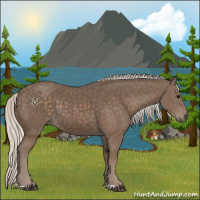 Horse Color:Silver Black 