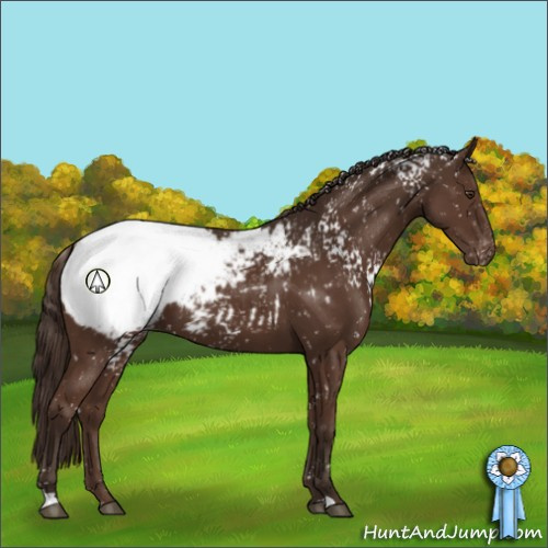 Horse Color:White Spotted Liver Chestnut Snowcap