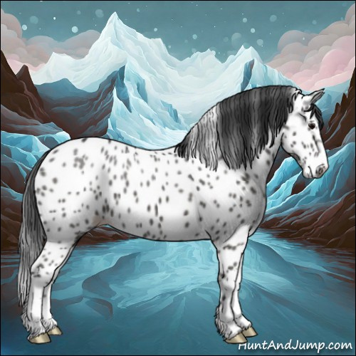 Horse Color:Black Appaloosa