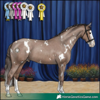 Horse Color:White Spotted Classic Champagne Splash Varnish 