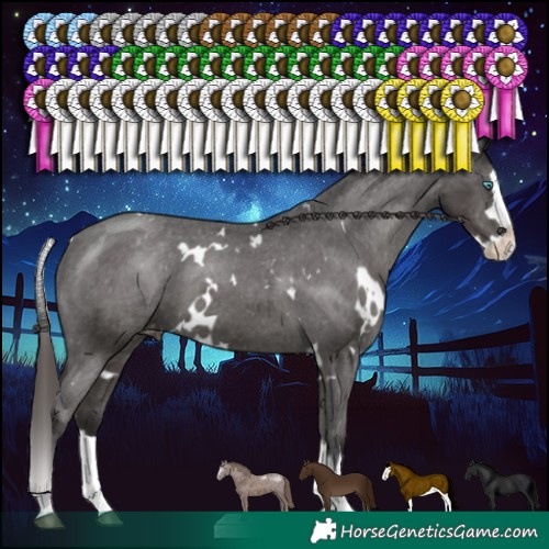 Horse Color:White Spotted Smoky Black Splash Varnish 