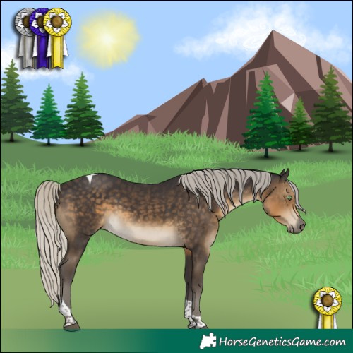 Horse Color:Silver Smoky Black Tobiano 