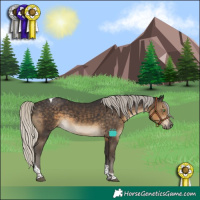 Horse Color:Silver Smoky Black Tobiano 