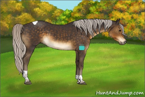 Horse Color:Silver Smoky Black Tobiano 