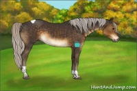 Horse Color:Silver Smoky Black Tobiano 