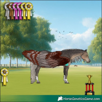 Horse Color:Silver Smoky Black Tobiano 