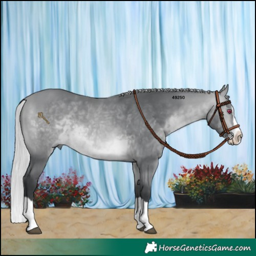 Horse Color:Silver Bay Chinchilla Splash 
