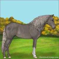 Horse Color:Silver Black 