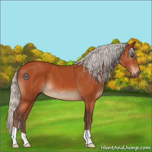 Horse Color:Silver Brown