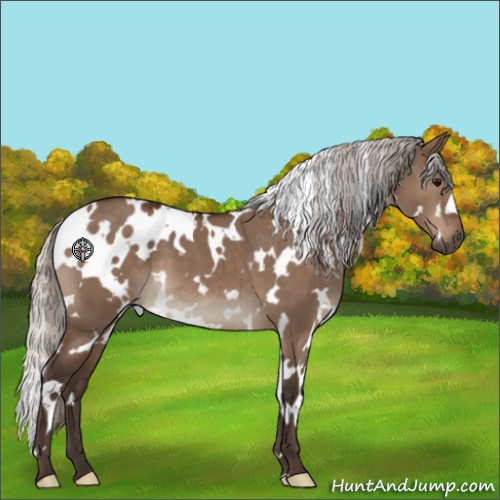 Horse Color:White Spotted Silver Brown Dun 