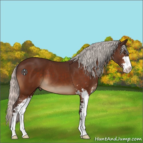 Horse Color:Silver Brown Sabino 