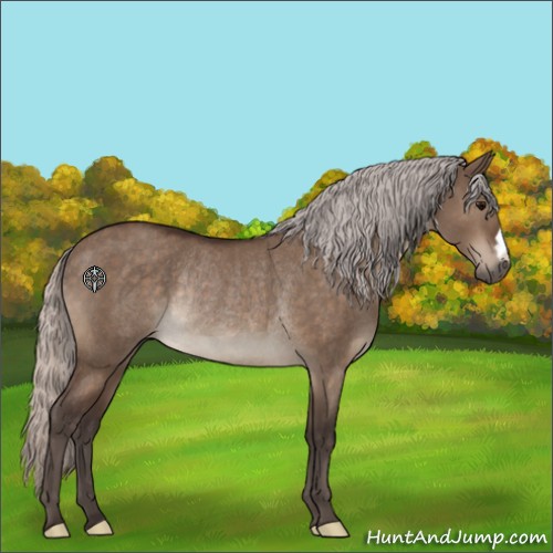 Horse Color:Silver Brown Dun Rabicano