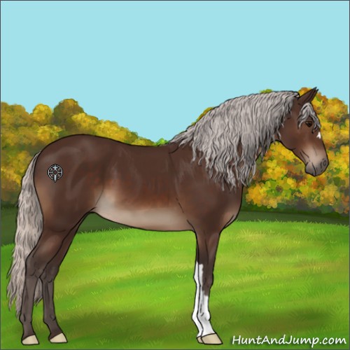 Horse Color:Silver Brown