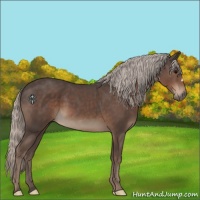 Horse Color:Silver Black 