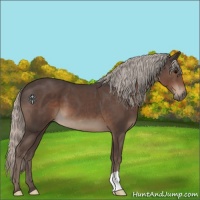 Horse Color:Silver Black 