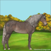 Horse Color:Silver Black 