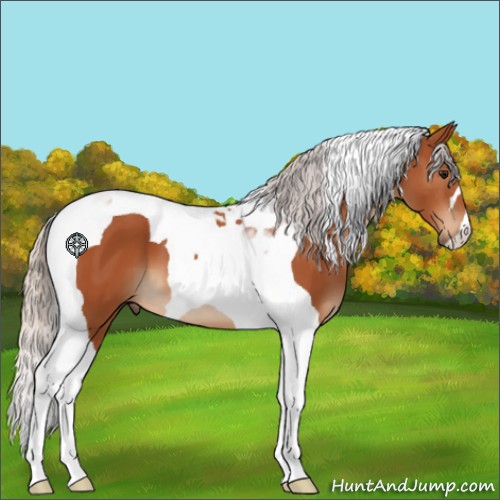 Horse Color:Silver Bay Tobiano 
