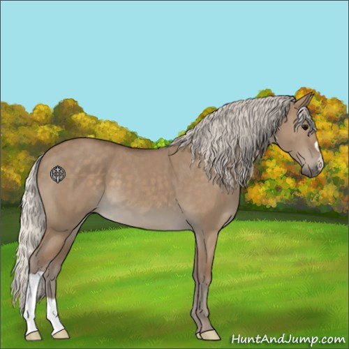 Horse Color:Silver Smoky Grullo 