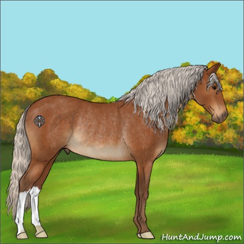 Horse Color:Silver Buckskin Rabicano 
