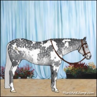 Horse Color:White Spotted Silver Black Chinchilla