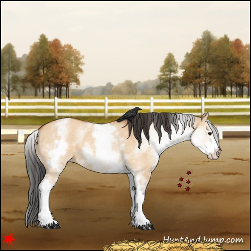 Horse Color:White Spotted Bay Dun 