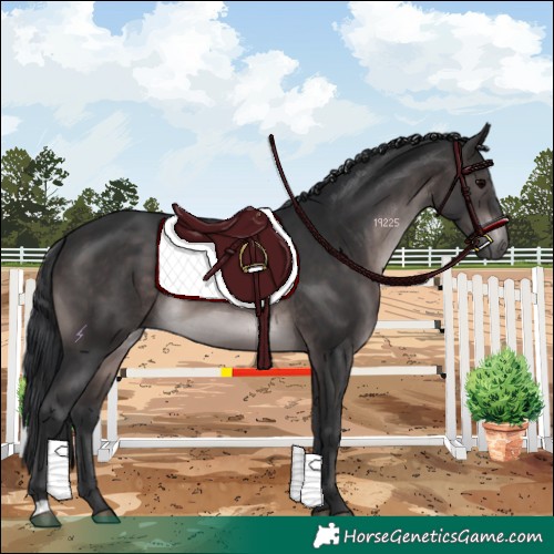 Horse Color:Platinum Brown 