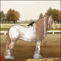 Horse Color:White Spotted Red Dun Blanket 