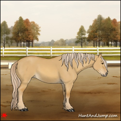 Horse Color:Palomino Dun 