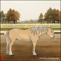Horse Color:Palomino Dun