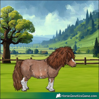 Horse Color:White Spotted Red Roan 
