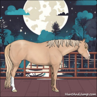 Horse Color:Gold Champagne