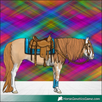 Horse Color:Red Dun Sabino 