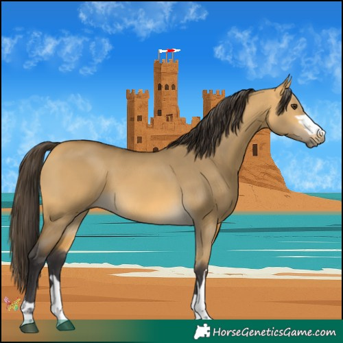 Horse Color:Buckskin Dun 